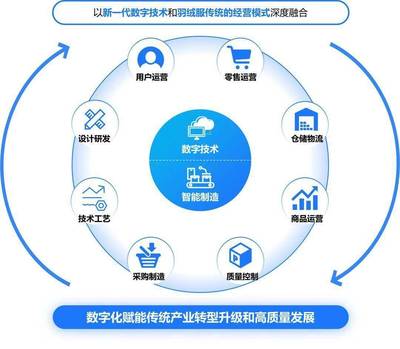構建高效、可持續的數字生態系統 標桿項目實施辦法與數字技術服務路徑